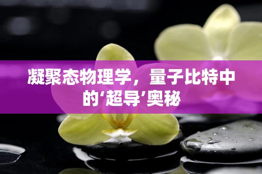 凝聚态物理学，量子比特中的‘超导’奥秘