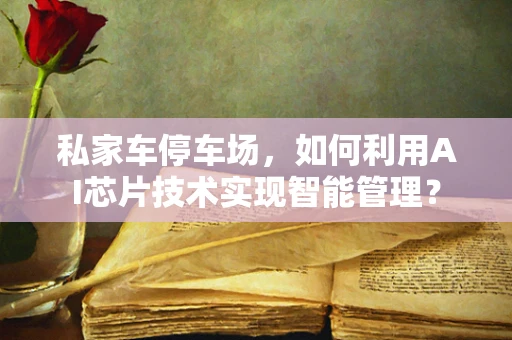 私家车停车场，如何利用AI芯片技术实现智能管理？