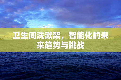 卫生间洗漱架，智能化的未来趋势与挑战