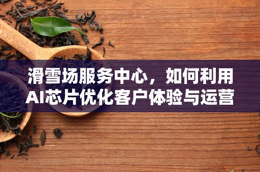 滑雪场服务中心，如何利用AI芯片优化客户体验与运营效率？