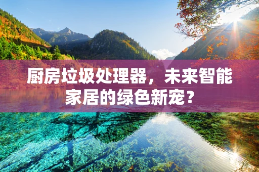 厨房垃圾处理器，未来智能家居的绿色新宠？