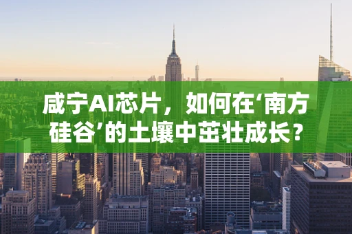 咸宁AI芯片，如何在‘南方硅谷’的土壤中茁壮成长？
