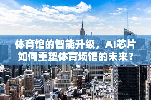 体育馆的智能升级，AI芯片如何重塑体育场馆的未来？