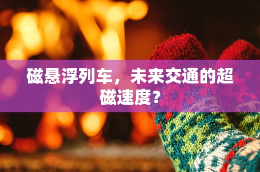 磁悬浮列车，未来交通的超磁速度？