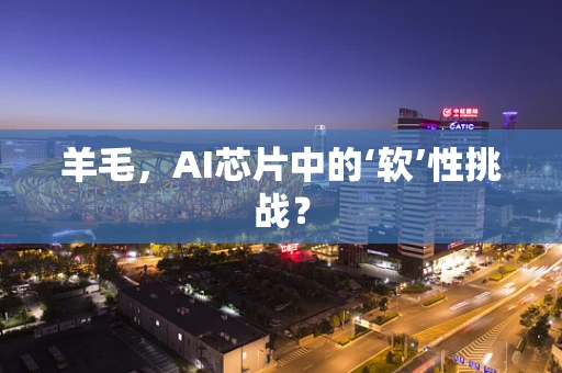 羊毛，AI芯片中的‘软’性挑战？
