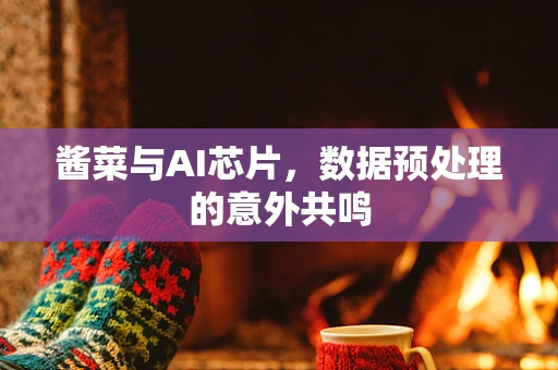 酱菜与AI芯片，数据预处理的意外共鸣