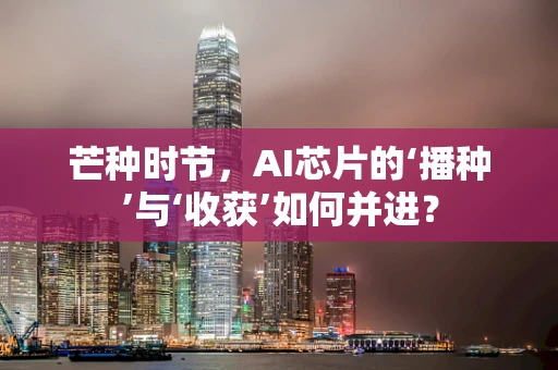 芒种时节，AI芯片的‘播种’与‘收获’如何并进？