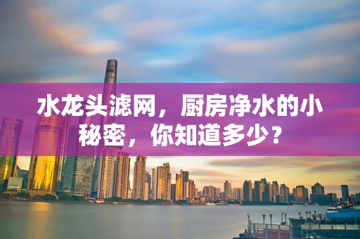 水龙头滤网，厨房净水的小秘密，你知道多少？