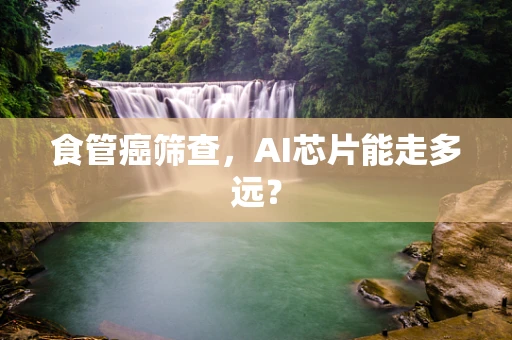 食管癌筛查，AI芯片能走多远？