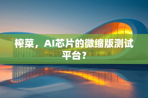榨菜，AI芯片的微缩版测试平台？