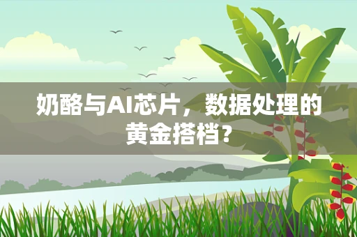 奶酪与AI芯片，数据处理的黄金搭档？