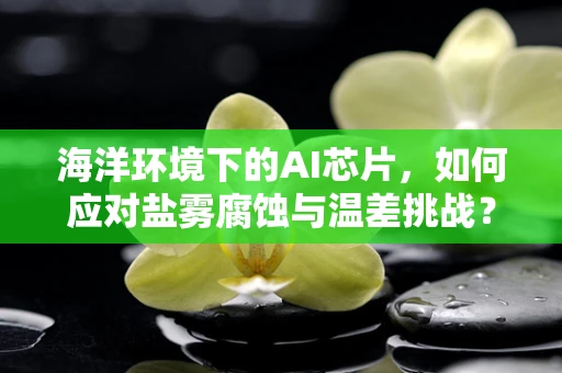 海洋环境下的AI芯片，如何应对盐雾腐蚀与温差挑战？