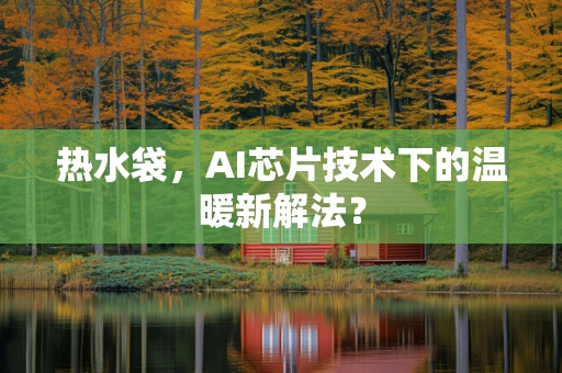 热水袋，AI芯片技术下的温暖新解法？