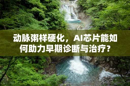 动脉粥样硬化，AI芯片能如何助力早期诊断与治疗？