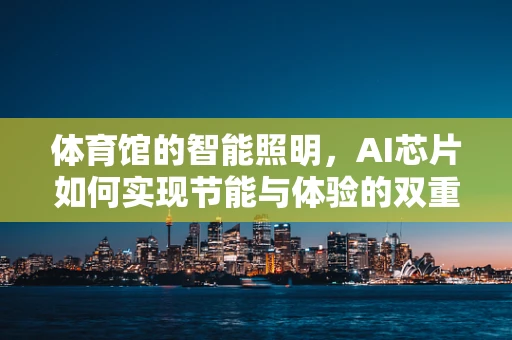 体育馆的智能照明，AI芯片如何实现节能与体验的双重优化？
