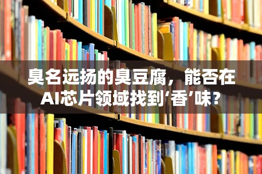 臭名远扬的臭豆腐，能否在AI芯片领域找到‘香’味？