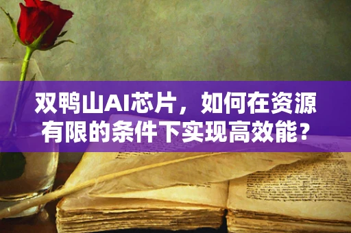 双鸭山AI芯片，如何在资源有限的条件下实现高效能？
