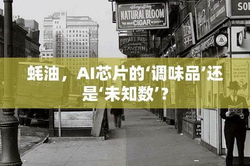 蚝油，AI芯片的‘调味品’还是‘未知数’？