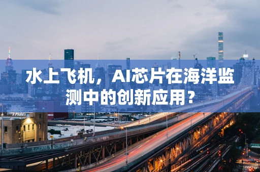水上飞机，AI芯片在海洋监测中的创新应用？