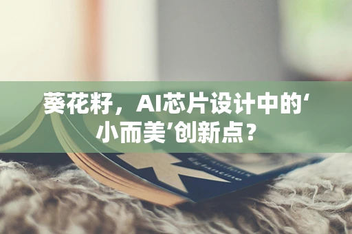 葵花籽，AI芯片设计中的‘小而美’创新点？