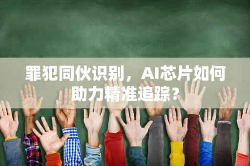 罪犯同伙识别，AI芯片如何助力精准追踪？