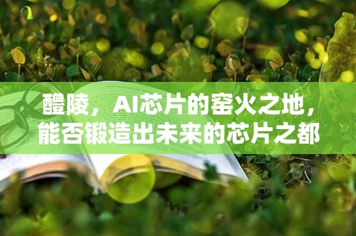 醴陵，AI芯片的窑火之地，能否锻造出未来的芯片之都？