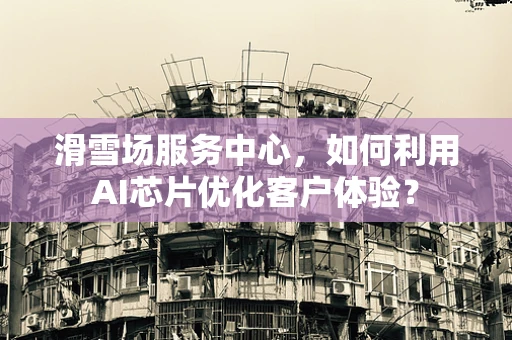滑雪场服务中心，如何利用AI芯片优化客户体验？