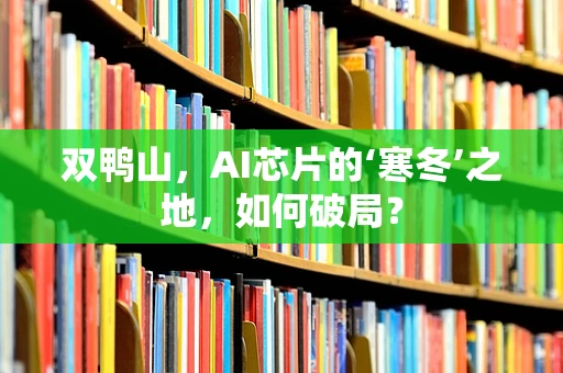 双鸭山，AI芯片的‘寒冬’之地，如何破局？