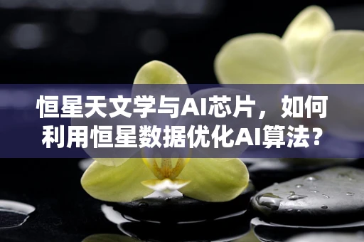 恒星天文学与AI芯片，如何利用恒星数据优化AI算法？