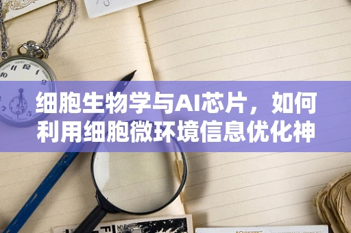 细胞生物学与AI芯片，如何利用细胞微环境信息优化神经形态计算？