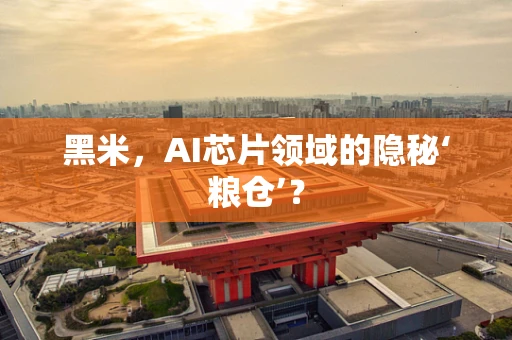 黑米，AI芯片领域的隐秘‘粮仓’？