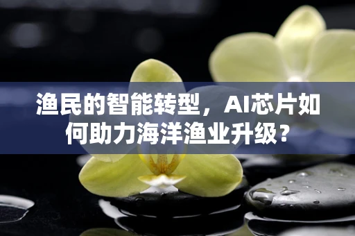 渔民的智能转型，AI芯片如何助力海洋渔业升级？