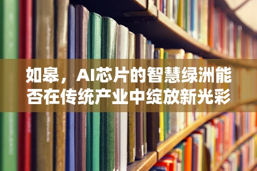 如皋，AI芯片的智慧绿洲能否在传统产业中绽放新光彩？