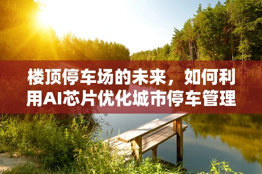楼顶停车场的未来，如何利用AI芯片优化城市停车管理？