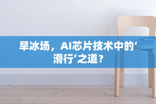 旱冰场，AI芯片技术中的‘滑行’之道？