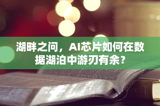 湖畔之问，AI芯片如何在数据湖泊中游刃有余？