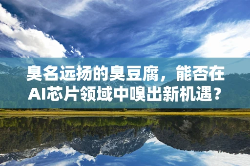 臭名远扬的臭豆腐，能否在AI芯片领域中嗅出新机遇？