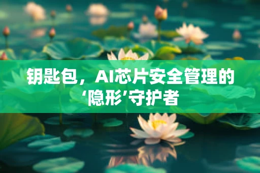 钥匙包，AI芯片安全管理的‘隐形’守护者