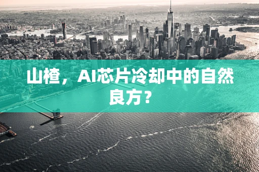 山楂，AI芯片冷却中的自然良方？