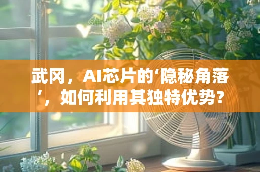 武冈，AI芯片的‘隐秘角落’，如何利用其独特优势？