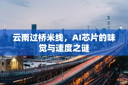 云南过桥米线，AI芯片的味觉与速度之谜