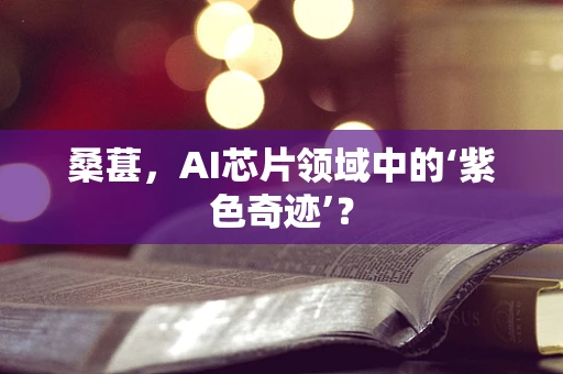 桑葚，AI芯片领域中的‘紫色奇迹’？