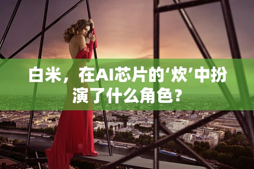 白米，在AI芯片的‘炊’中扮演了什么角色？