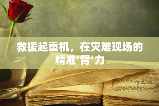 救援起重机，在灾难现场的精准‘臂’力