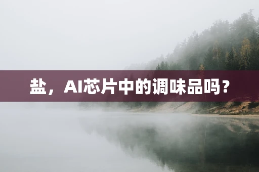 盐，AI芯片中的调味品吗？