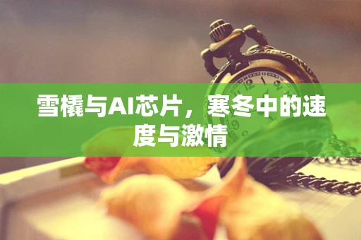 雪橇与AI芯片，寒冬中的速度与激情