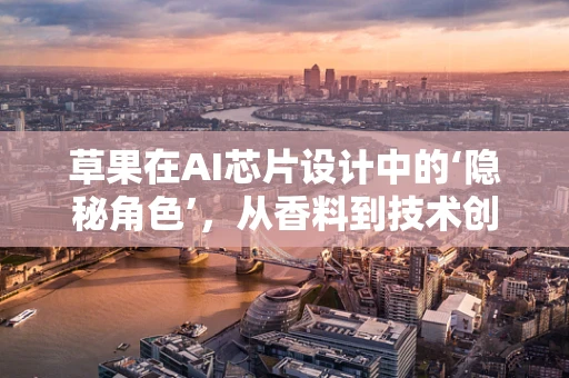 草果在AI芯片设计中的‘隐秘角色’，从香料到技术创新的桥梁？