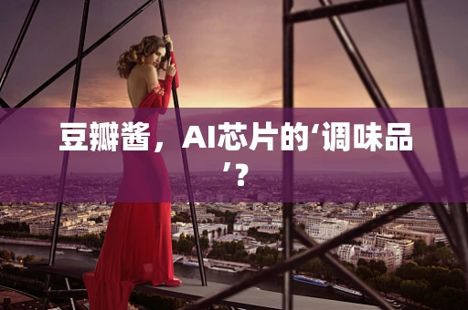 豆瓣酱，AI芯片的‘调味品’？