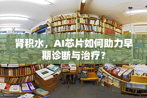 肾积水，AI芯片如何助力早期诊断与治疗？