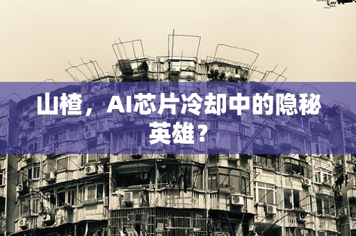 山楂，AI芯片冷却中的隐秘英雄？
